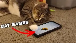 Do CAT phone GAMES actually WORK?!?
