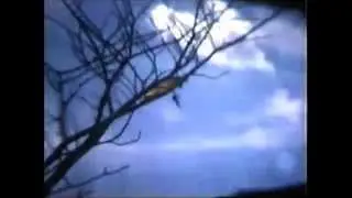 08-02-1974 - First Hang Glider Launches at Talcot Mt. State Park, Avon, CT
