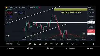 GOLD MOVING ALONG WITH 200MA : HOLDING SHORT FROM FRESH NEW HIGH.