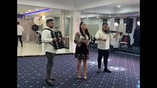 Formatie nunta Ploiesti - Royal Band din Ploiesti - Colaj hore de masa LIVE