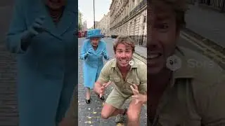 Wild Queen spotting #sora #funny #wild #funnyvideo #fyf #crazy #funnymemes