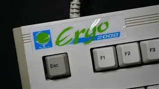 Tactile Green Alps Clone Switch | Ergo 2000 | Vintage Mechanical Keyboard Sound Test | ASMR
