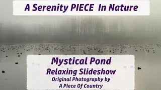 Mystical Pond ~Relaxing Nature Slideshow Serenity 4K ~ Original Photography & Peaceful Calming Music