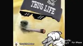 #Thug Life Doge Edition
