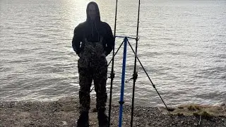 Crab 🦀 Attack 