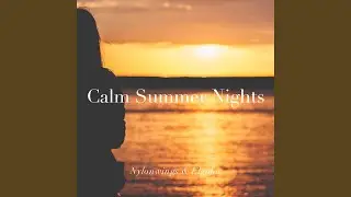 Calm Summer Nights