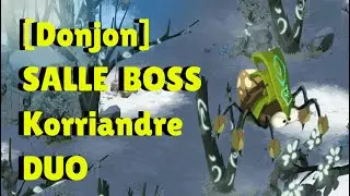 Korriandre Duo  - Capturer dans son Donjon | [DOFUS 3] Frigost dj