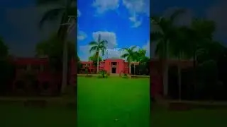 Department of law | Islamia university of Bahawalpur| Old Campus| Abbasia Campus| University chowk