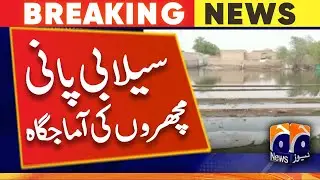 Balochistan Flood 2022 | Jaffarabad Flood