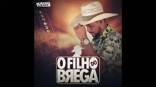 O FILHO DO BREGA - CD PROMOCIONAL 2022