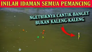 Umpan Mancing Ikan Mas Terbaik Diindonesia Masuk Untuk Segala Kondisi
