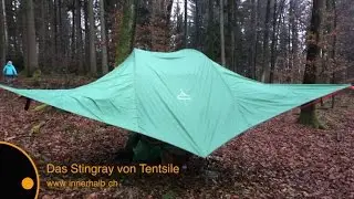Das Stingray von Tentsile