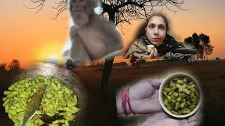 पानी डाल दिया ।😢 सर्दी में आज ।इतना टाइम लगता है। यार#familyvlog #daliyvlog 