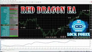 YOUR KEY TO SUCCESS EA ROBOT FOREX (RED DRAGON EA)
