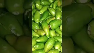 Green Chillies Recipe 🥰😋😋💯🙏 #allitemfoody #greenchilli #chillies #chillirecipes #viralfeeds #viral