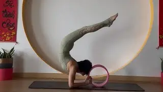 YOGA ĐƠN NGHỆ THUẬT 