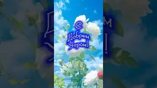 С добрым утром!