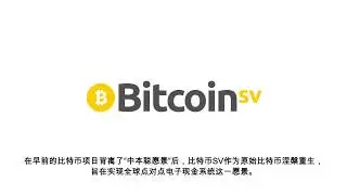 BitcoinSV (BSV) Year 1 Look back - Chinese 比特币SV