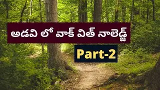 Walking in the forest with T mixture and gain Knowledge on National Parks T mixture Forest Walk -2