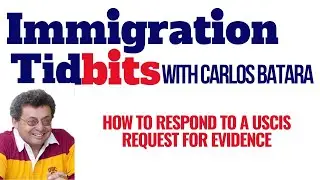 How To Respond To A Request For Evidence And Win Permanent Residence