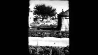CREATIVE CONTROL - NESBY PHIPS 