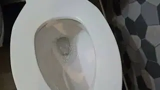 Jiffy Lube Unisex Restroom with AS Cadet Pro 