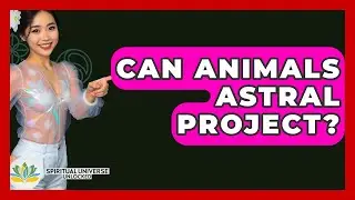 Can Animals Astral Project? - Spiritual Universe Unlocked