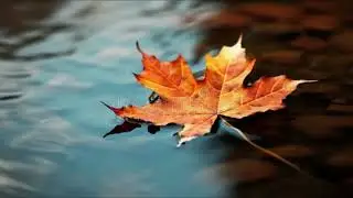 Hindi Christian Bhajan || Mai aak Ghirehua Pate Jaisa tha by (Karna Das) || 2026