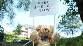 Teddy Bear Democrats