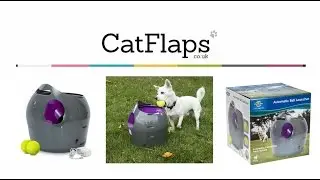 Petsafe Automatic Ball Launcher