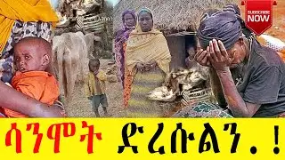 In Burji District, the famine situation has become very dire || በቡርጂ ወረዳ የረሃቡ ሁኔታ እጅግ አሳሳቢ ሆኗል።
