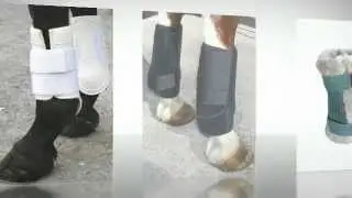 Horse Boots and Leg Protection