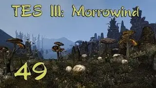 Morrowind Fullrest Repack 1.5 слепое прохождение ч.49: Разные дела