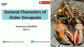 General Characters of order Decapoda || Taxonomy of Shellfish || Part:- 4 || Fisheries Science ||