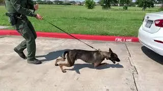 Narcotic Detection Team