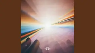 Polymer