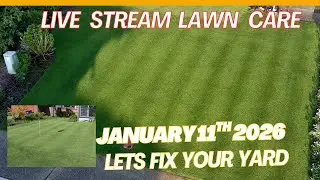 Lawn care Live thinking about spring plans in your yard