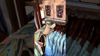Avatar: The Way of Water Merch at Disney's Animal Kingdom #shorts #disneyshorts