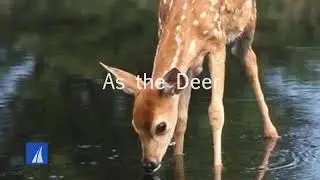 AS THE DEER PANTETH FOR THE WATER - ( Lyrics)