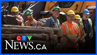 Tariffs continue to mount on Canada&rsquo;s lumber industry