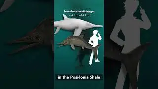 This Ichthyosaur was a certified baby eater...and regurgitater