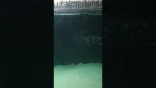 Aquarium party 😂😂
