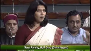 Saroj Pandey's speech on Criminal Law (Amendment) Bill 2013