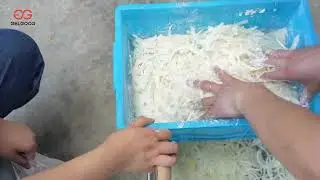 Crispy Fried Onion Production Line Manufacturing Process
