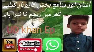 UD Khan Ep #08 silk made in silkwaroms
