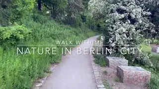 🌳 Nature Walk in Berlin 🌆 | Peaceful Sounds of Birds & the City 🐦🎧