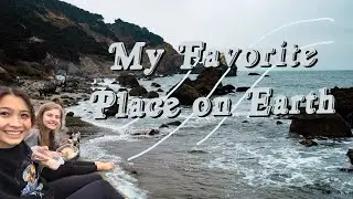 Exploring San Francisco // museums, hikes, ✨ introspection ✨