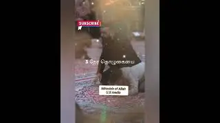 தொழுகை 🤲💐 #miraclesofallah #subscribe.