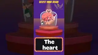 Quick learning #quiz #quiztime  #heart #science #quick #quicklearning