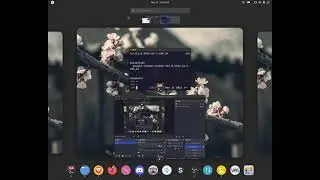 How to Install Google Chrome in Fedora Linux